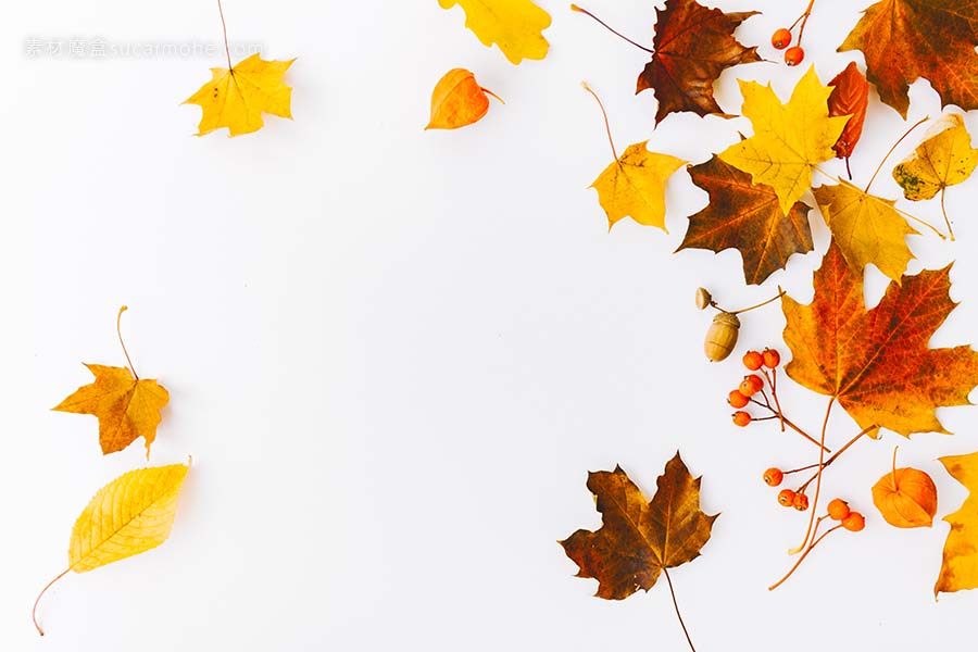 秋季平躺背景白色照片autumn-flat-lay-background-white