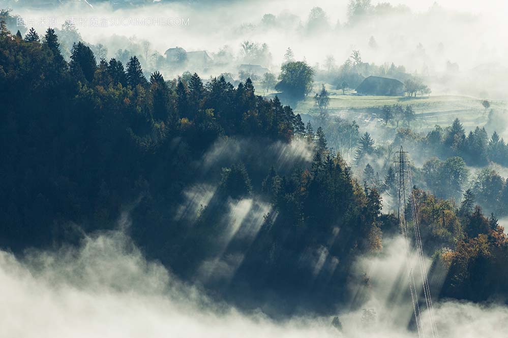 斯洛文尼亚布莱德一片被雾覆盖的美丽树林的空中拍摄