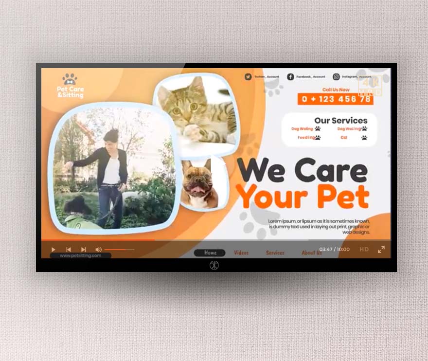 宠物看护中心/美容沙龙/宠物医院等的宣传推广AE模板