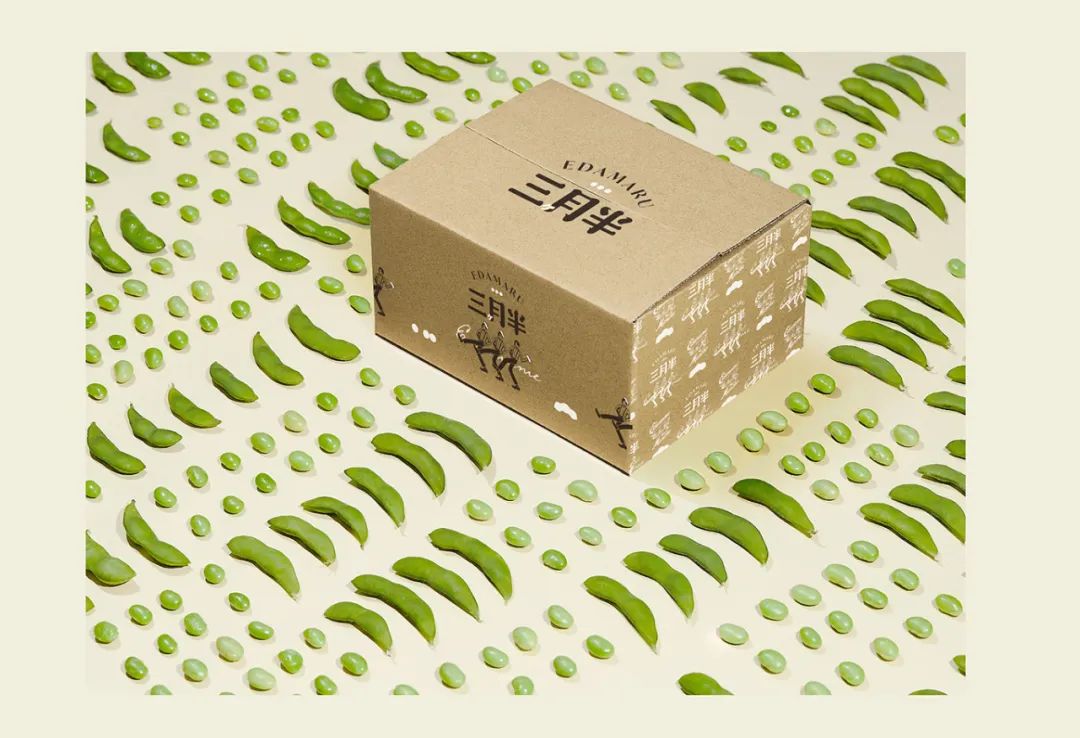 包装｜农产品土特产包装设计(图49)