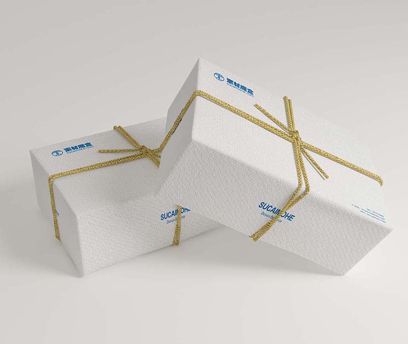 两个绳子拴住的礼盒包装LOGO样机PSD源文件