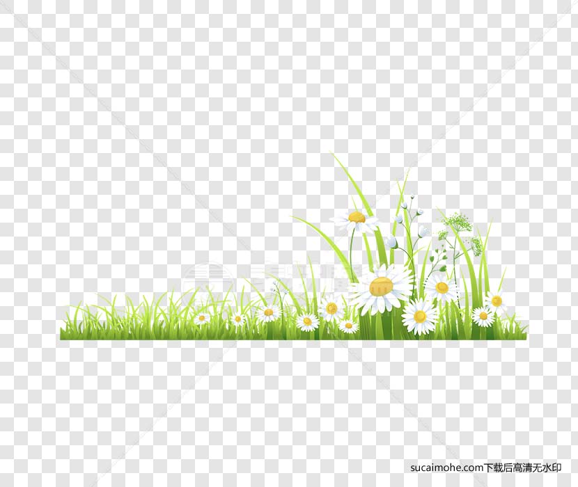 春天绿色花草地免抠png元素
