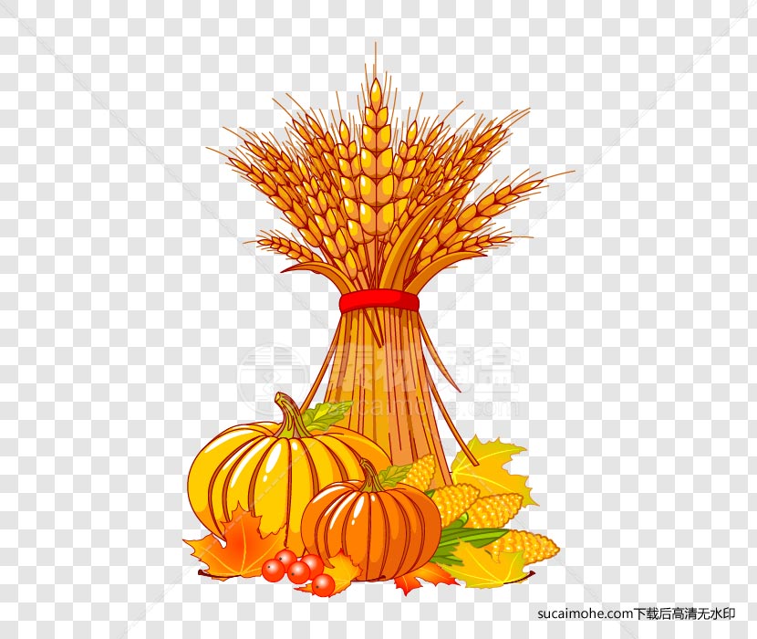 秋收-立秋小麦那挂玉米免抠png元素（含AI源文件）