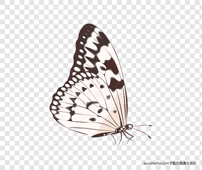 美丽的蝴蝶免抠png元素（含AI源文件）