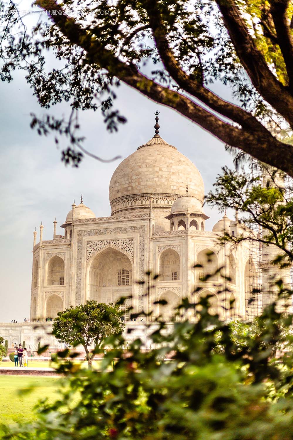 泰姬陵建筑在印度阿格拉的美丽垂直拍摄