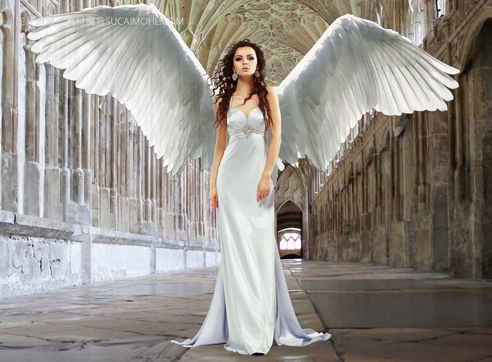天使 处女 女神 纯度 宗教 象征主义