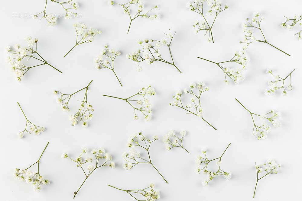 平躺花集合在桌子上照片flat-lay-flowers-collection-table
