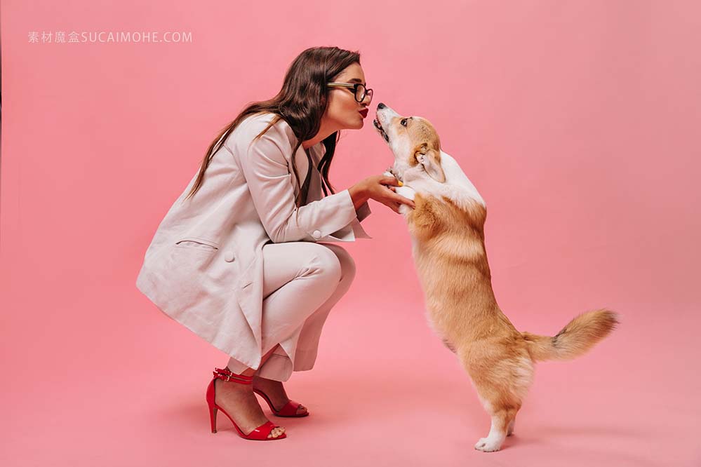 米黄成套装备的俏丽的妇女使用与在桃红色背景的狗。时尚的西装和红色的鞋子可爱的商务女