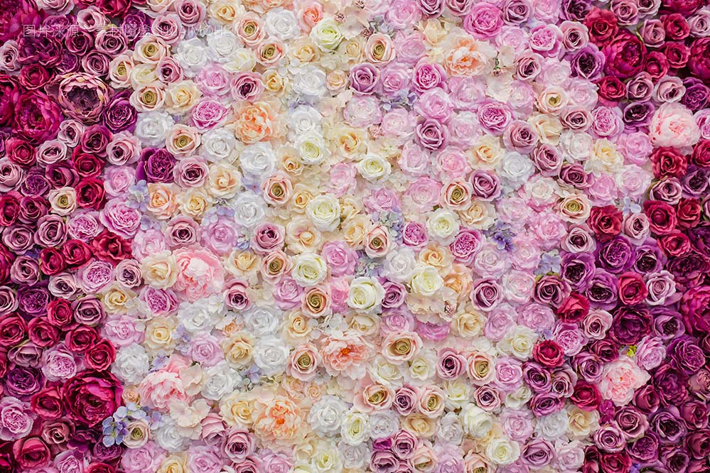 美丽的墙装饰着玫瑰照片beautiful-wall-decorated-with-roses