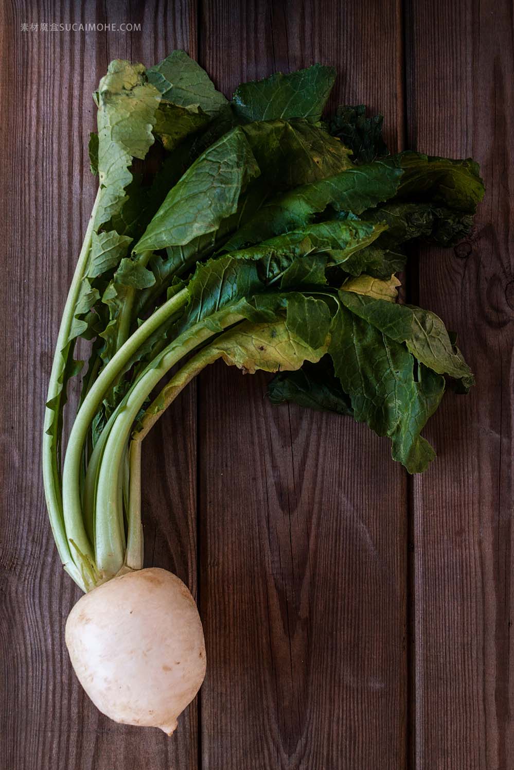 鲜萝卜木桌 蔬菜 青菜 fresh-turnip-on-a-wooden-table