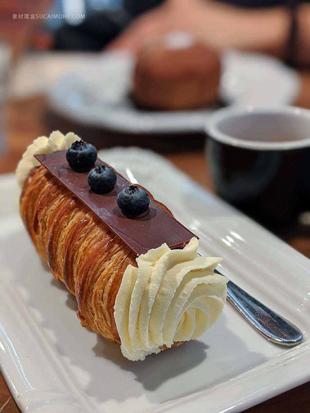 加巧克力和蓝莓的奶油卷甜品creme-roll-with-chocolate-and-blueberries-on-top
