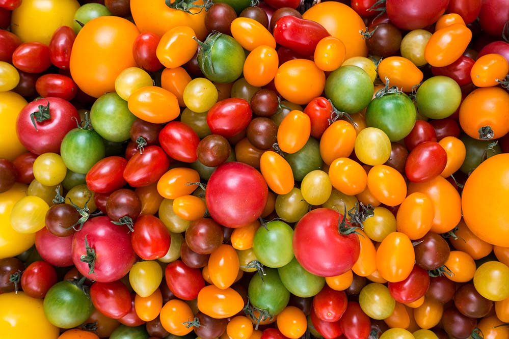 色彩缤纷的西红柿圣女果品种高清摄影大图_colorful-variety-of-tomatoes