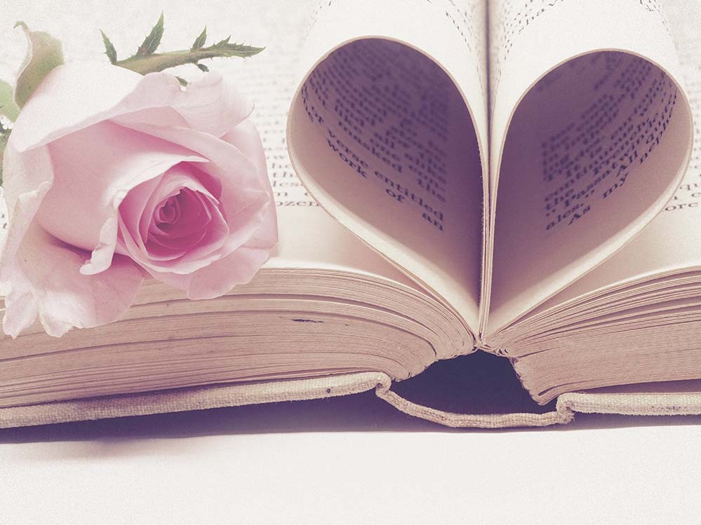 literature-文学 书绑定的 页面 书 纸 爱 浪漫 情人节 情人节那天 酿酒 古董 玫瑰 粉红色  高清摄