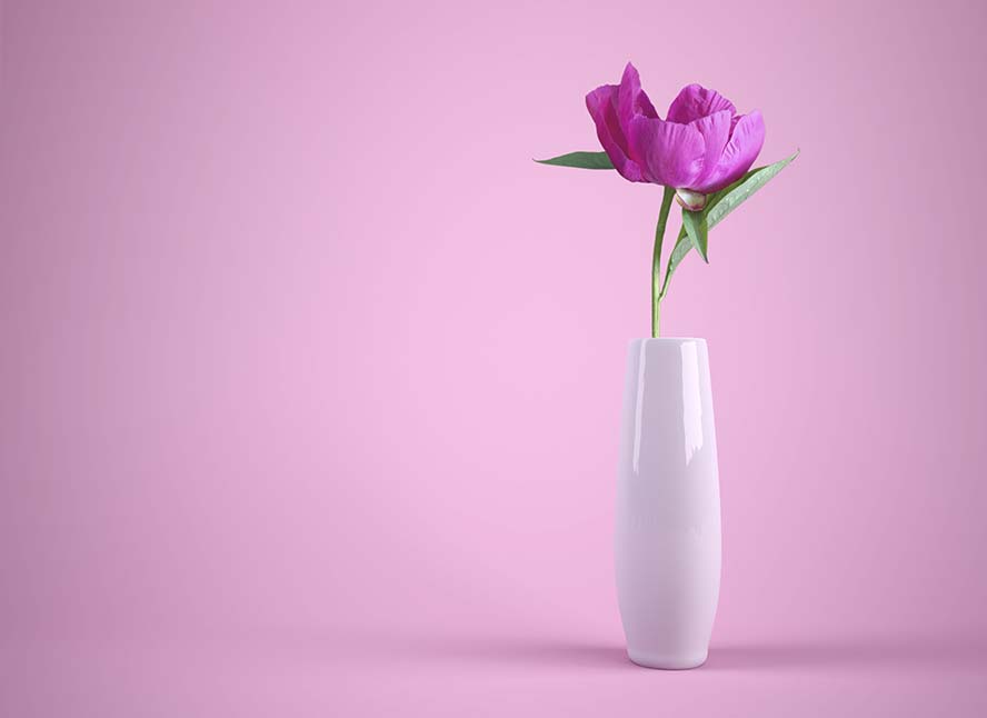 flower- 花 花瓶 丰富多彩 粉红色 谢谢 背景 爱情 情人节 高清大图