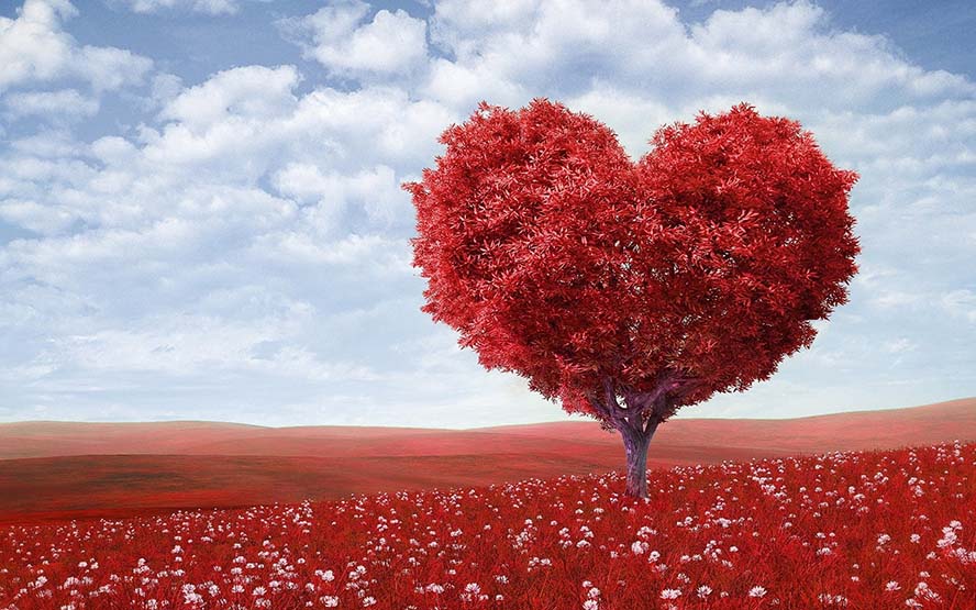heart-shape-心脏形 树 红色 户外 鲜花 情人节 浪漫 天空 云 和平 爱 高清大图