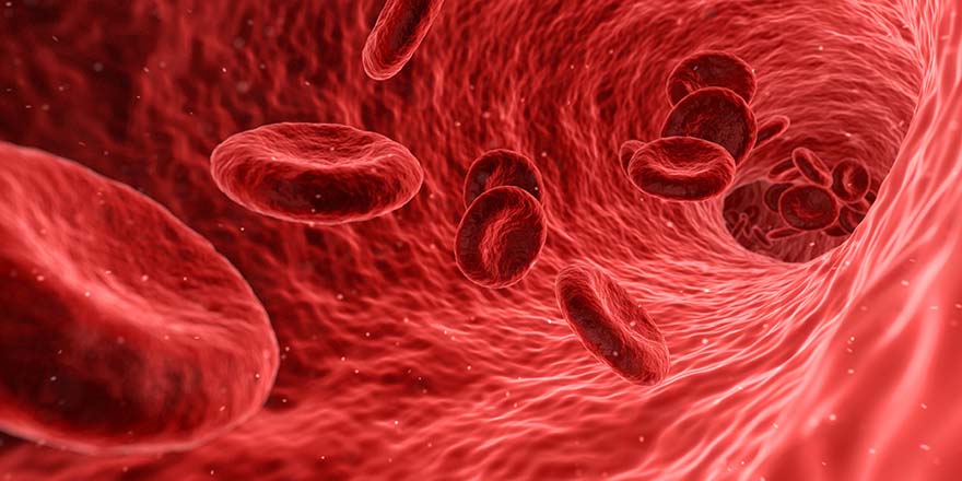 blood-血 单元格 红色 医疗 医药 解剖 健康 人类 生物学 血细胞 动脉 医疗保健 镜 高清大图