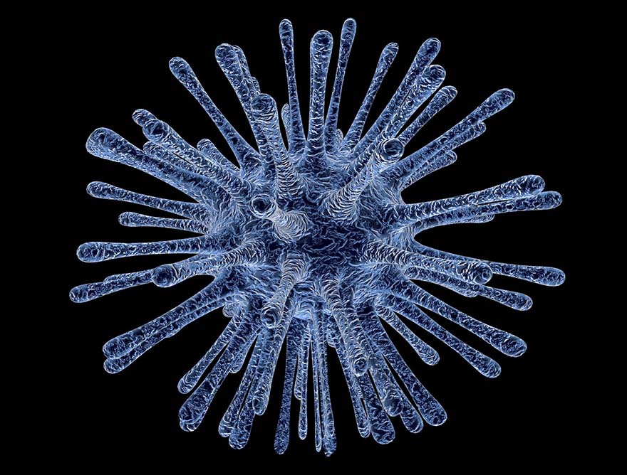 virus-病毒 感染 细胞 细菌 Dna 疾病 生物学 高清大图