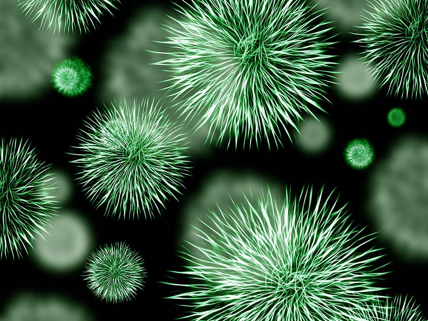 bacteria-细菌 病原 感染 绿色 病菌 微生物 显微镜 多抗 耐 电阻 葡萄球菌 病毒 细菌种类 高清大