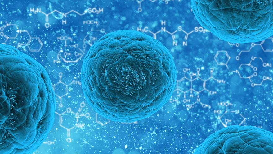 bacteria-细菌 疾病 病毒 感染 病 单元格 生物 用 生物学 高清大图