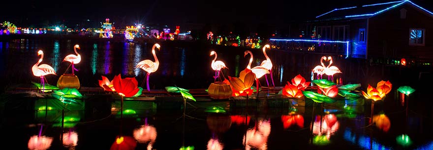 lantern-festival-元宵 灯会 夜景 高清大图