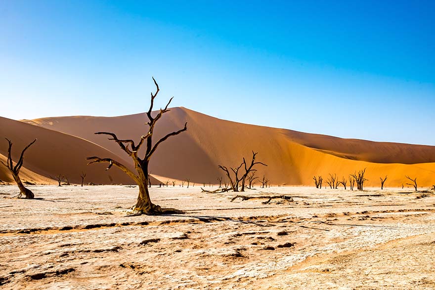 namibia-米比亚 Deadvlei 沙漠 甜点 干旱 高清摄影大图