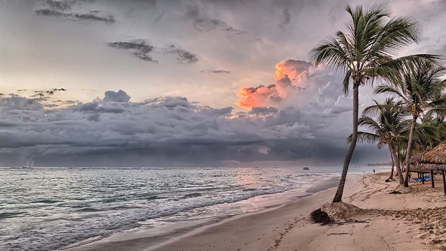 beach-海滩 多米尼加共和国 加勒比海 夏天 海 热带 水 蓝色 棕榈树 沙 天空 海洋 假期