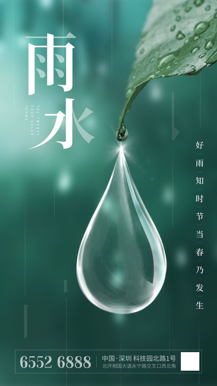 简约创意雨水节气绿叶水滴意境海报
