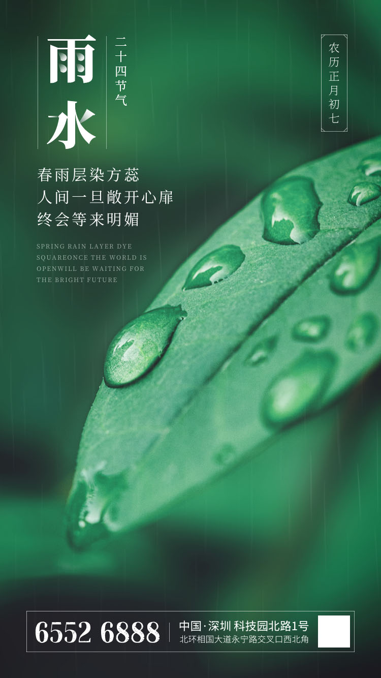 绿叶水滴二十四节气雨水节气海报