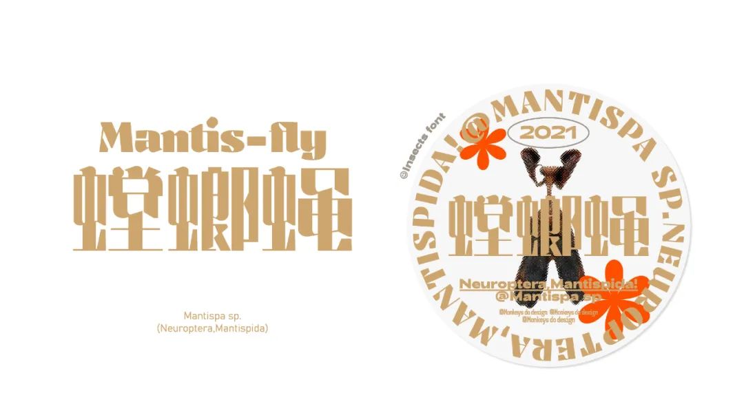 五个案例教会你“西文中用”字体设计(图17)