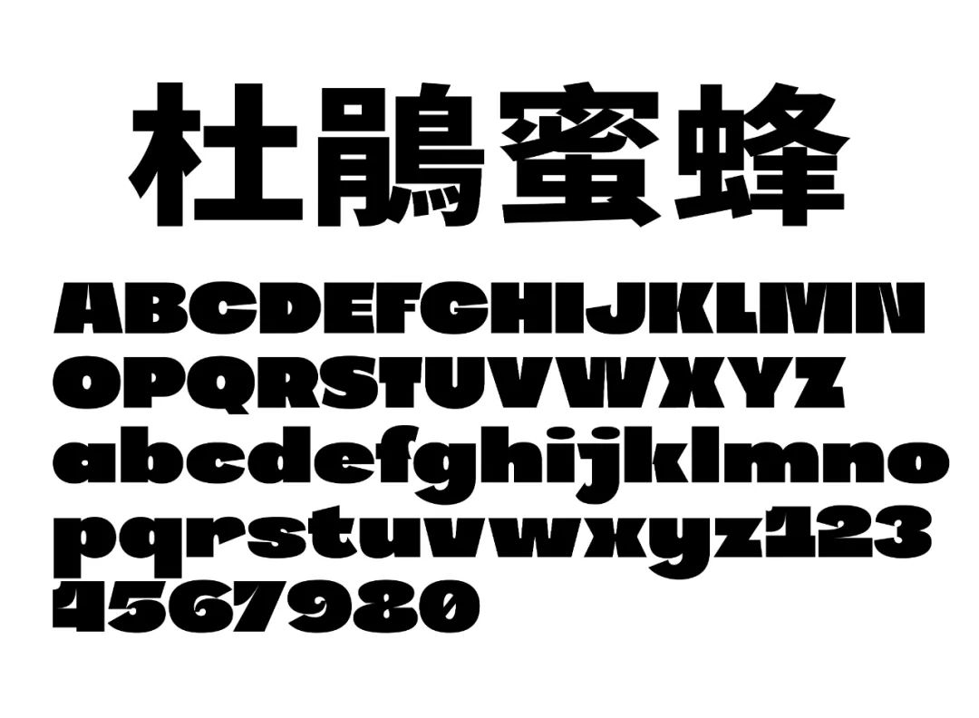 五个案例教会你“西文中用”字体设计(图22)