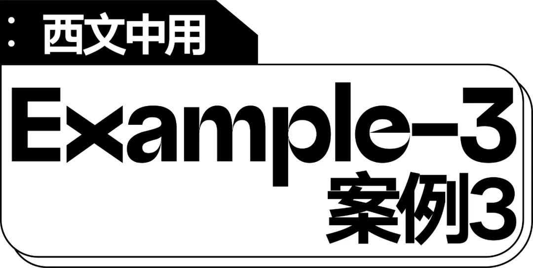 五个案例教会你“西文中用”字体设计(图31)