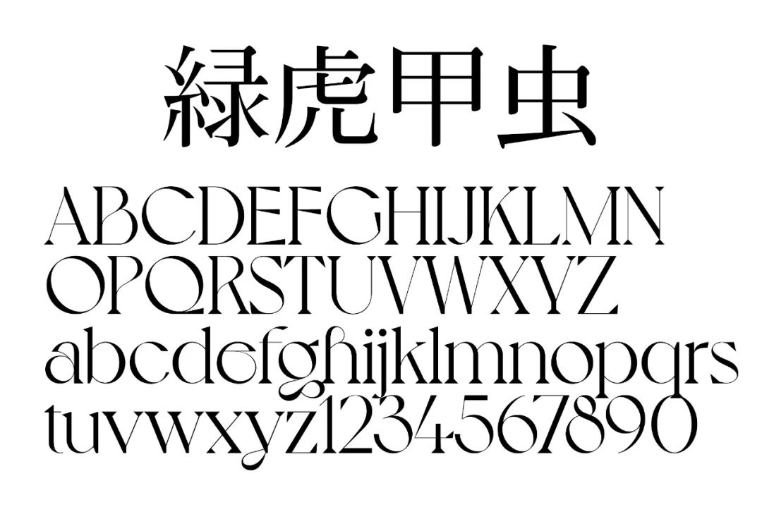 五个案例教会你“西文中用”字体设计(图34)