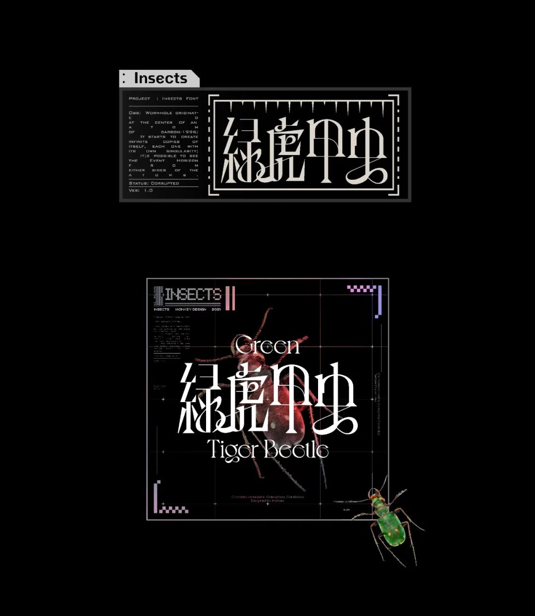 五个案例教会你“西文中用”字体设计(图41)