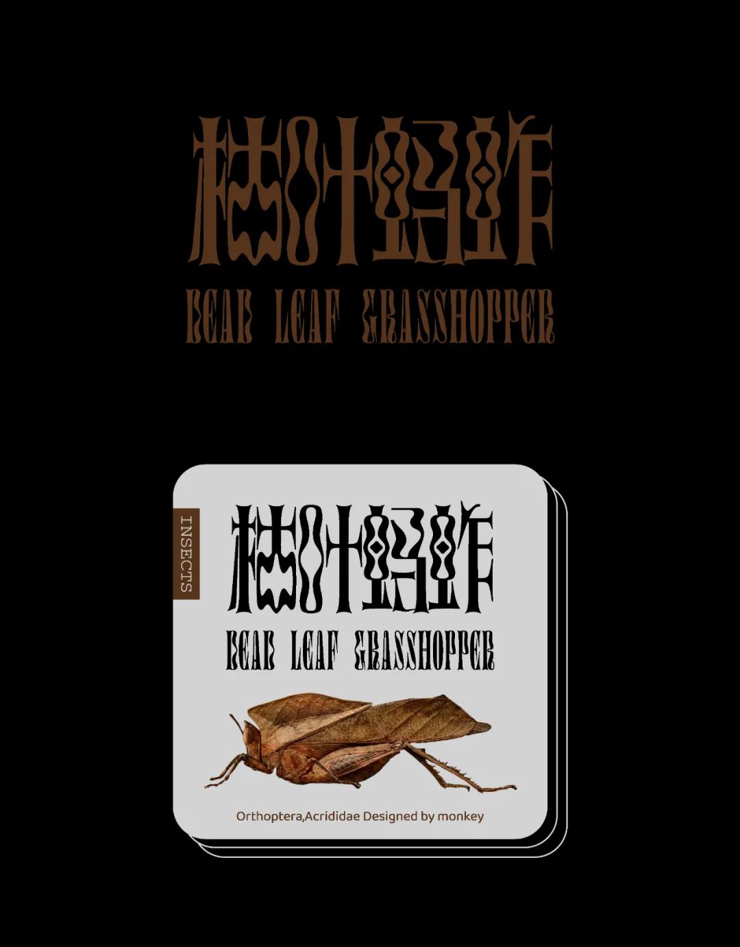 五个案例教会你“西文中用”字体设计(图52)