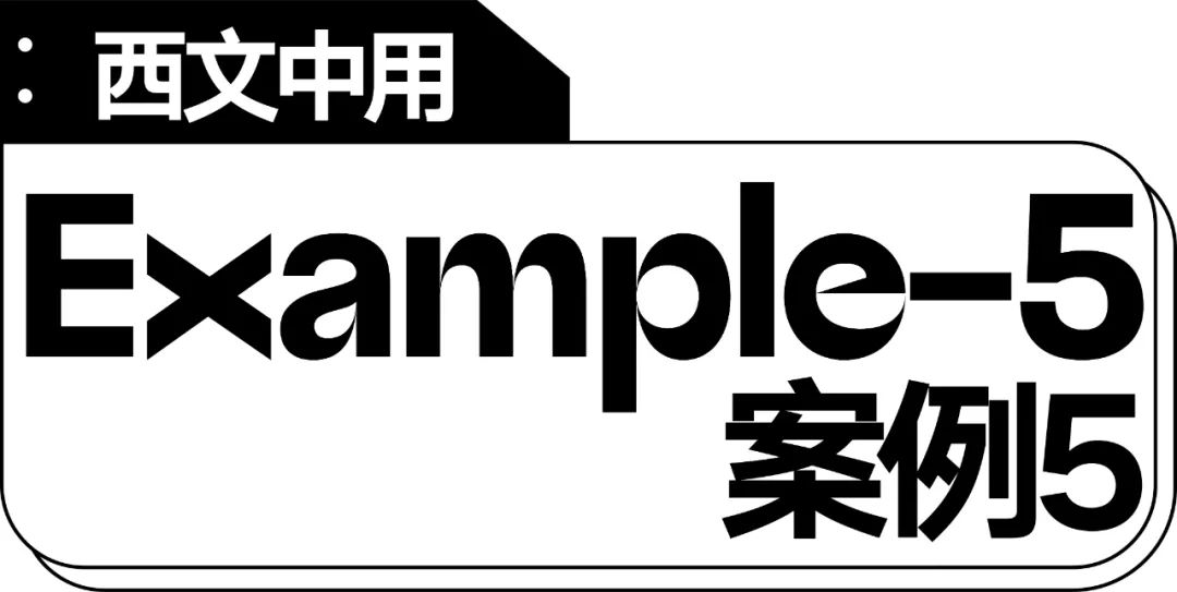 五个案例教会你“西文中用”字体设计(图53)