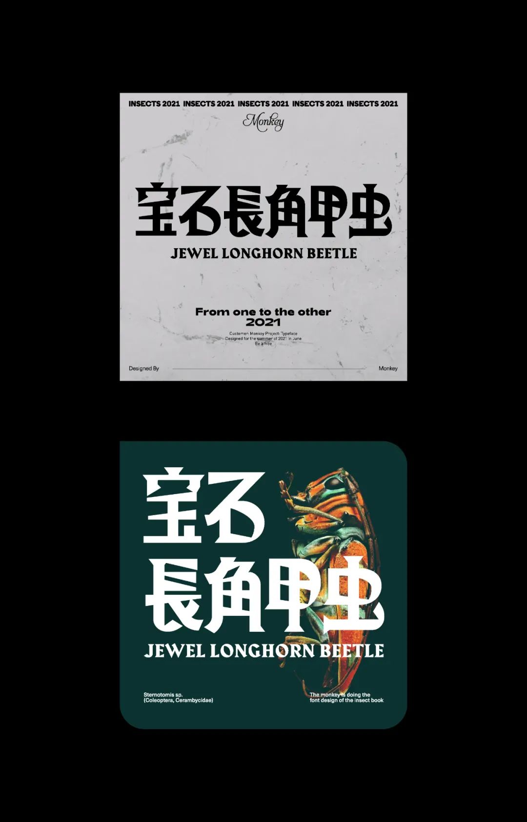 五个案例教会你“西文中用”字体设计(图56)