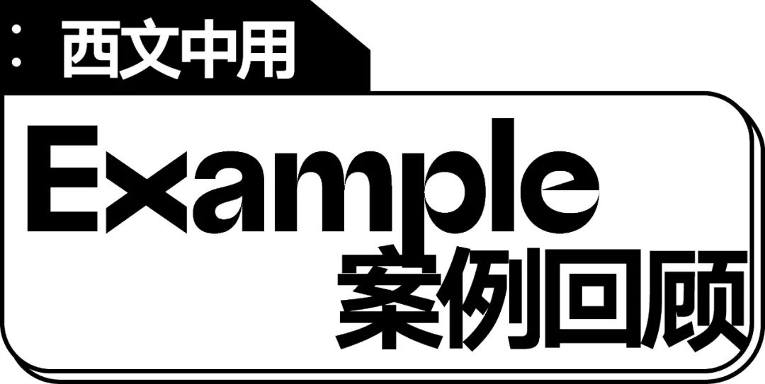 五个案例教会你“西文中用”字体设计(图57)
