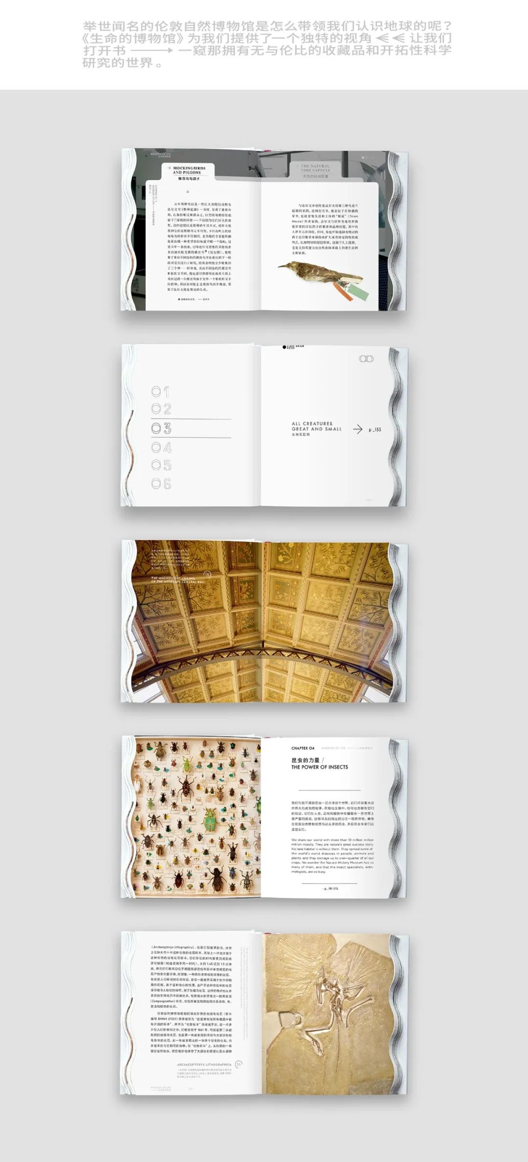 优秀的版式怎样排才显得更有格调感？(图41)