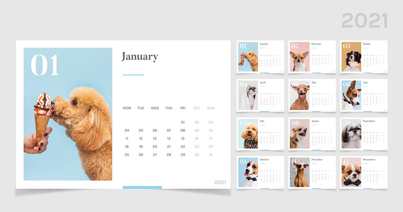 日历模板与可爱的小动物（不含照片）abstract-2021-calendar-template